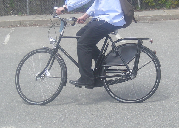 Pashley Roadster Sovereign