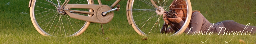 Lovely Bicycle!